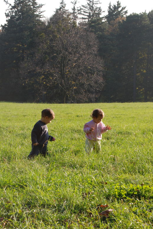 twins meadow