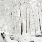 Winter Wonder on Čierna Skala